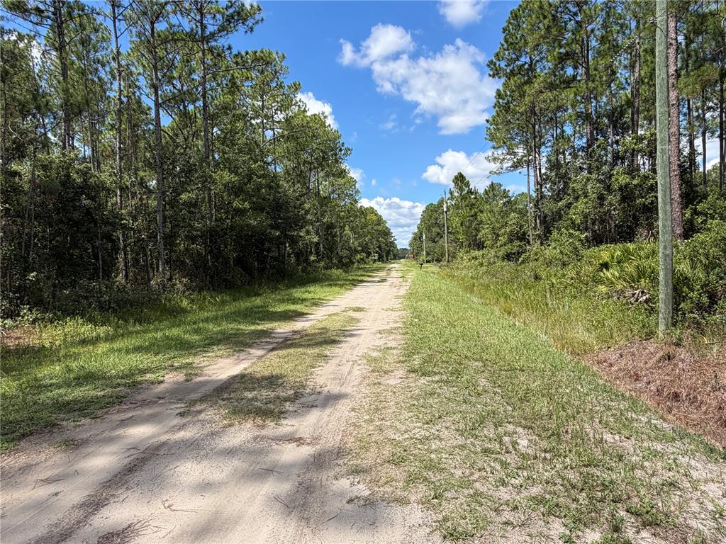 4265 GLADYS STREET, HASTINGS, FL — photo 4 of 8