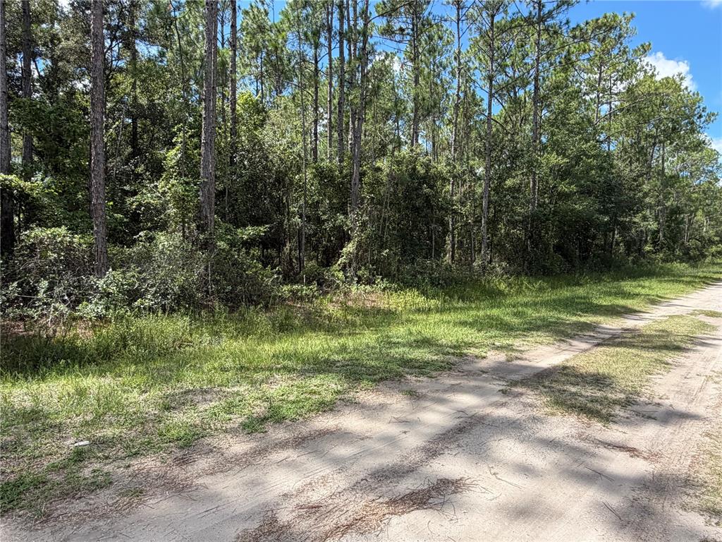 4265 GLADYS STREET, HASTINGS, FL — photo 5 of 8
