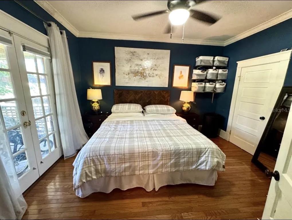 A bedroom features dark blue walls, a bed with a plaid comforter, and hardwood floors — 427 9TH AVENUE N, ST PETERSBURG, FL