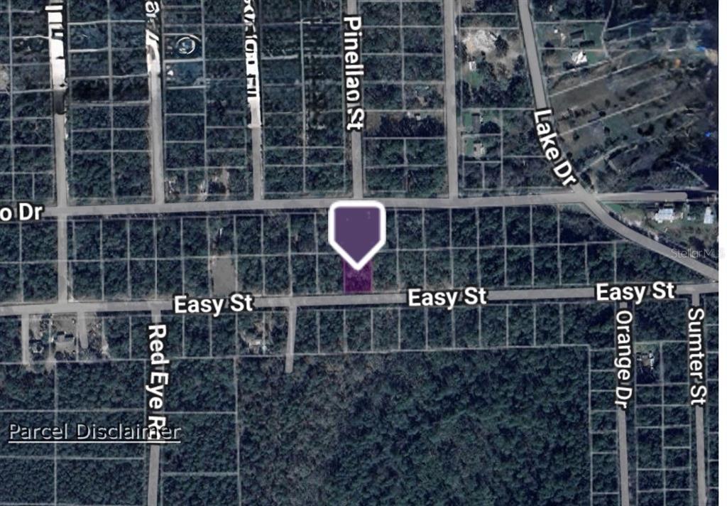 An aerial map view shows a highlighted parcel of land located along Easy Street — 124 EASY STREET, FLORAHOME, FL
