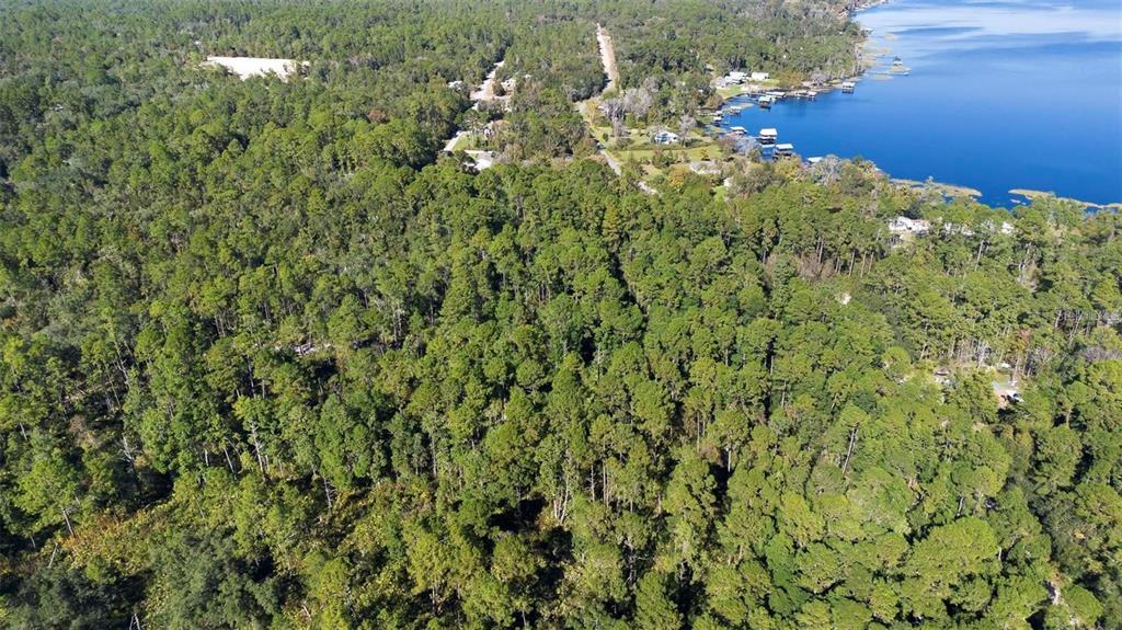 An aerial view shows a dense forest bordering a lake with several docks and houses — 124 EASY STREET, FLORAHOME, FL