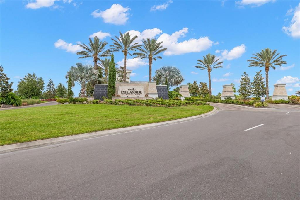 A stone monument sign for Esplanade at Wiregrass Ranch sits amidst palm trees and landscaping — 4727 FRECCIA LOOP, WESLEY CHAPEL, FL