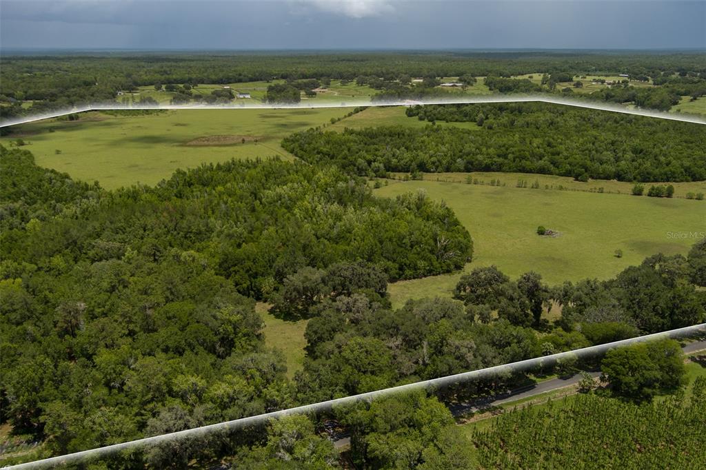 An aerial view shows a large, fenced plot of land featuring open pastures and wooded areas — 9504 NW HWY 320, MICANOPY, FL