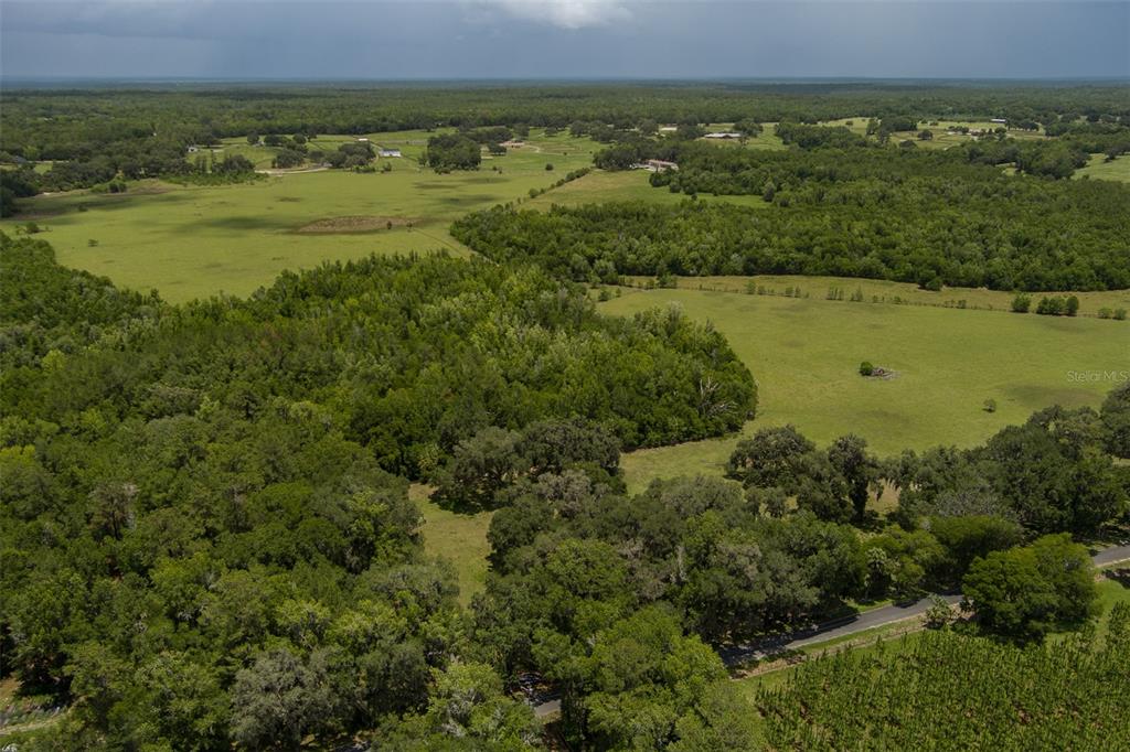 An aerial view shows a large expanse of green pastureland surrounded by dense forest — 9504 NW HWY 320, MICANOPY, FL