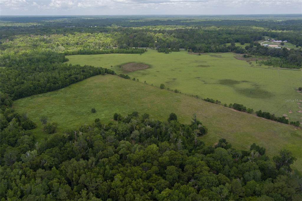 An aerial view shows a large, open grassy pasture surrounded by dense forest — 9504 NW HWY 320, MICANOPY, FL