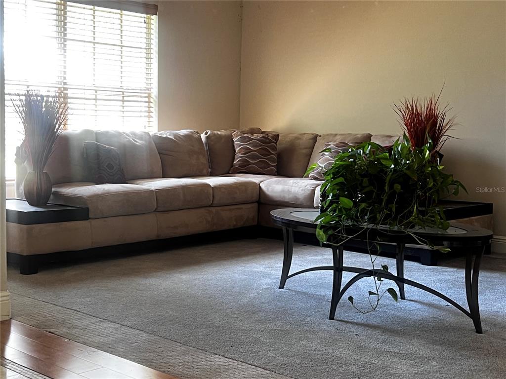 239 LARGOVISTA DRIVE, OAKLAND, FL — photo 3 of 30