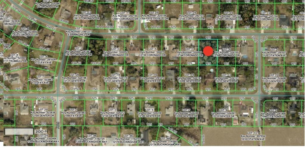 12756 CORONADO DRIVE, SPRING HILL, FL — photo 2 of 2