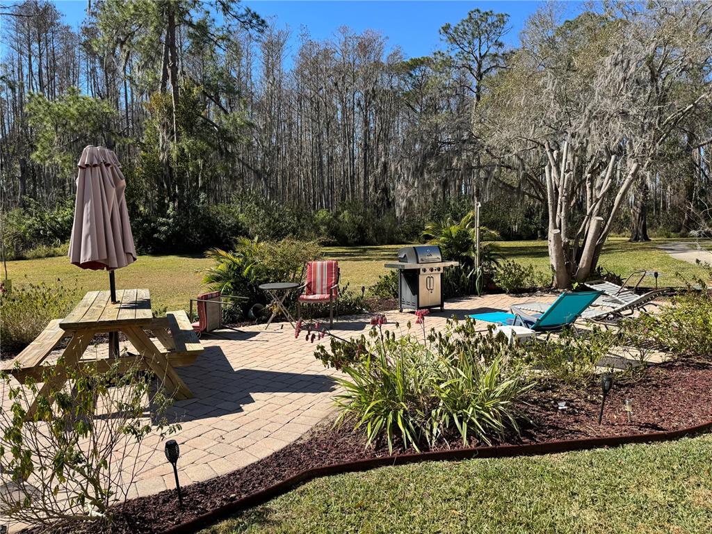 A backyard patio features a picnic table, grill, lounge chairs, and a wooded view — 1775 CUPECOY CIRCLE UNIT 4, LUTZ, FL