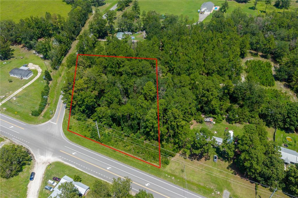 An aerial view shows a wooded, rectangular plot of land outlined in red beside a road — TBD SR 100, LAKE BUTLER, FL