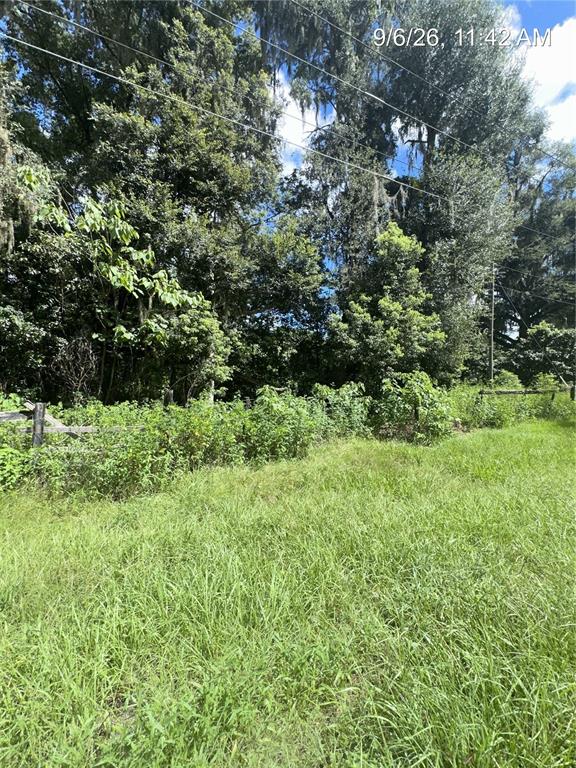 TBD NW 110TH STREET, REDDICK, FL — photo 4 of 10
