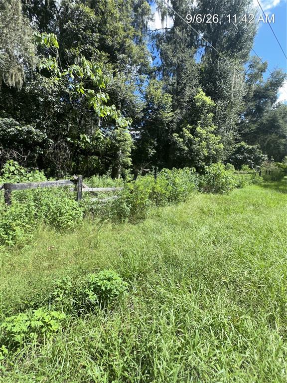 TBD NW 110TH STREET, REDDICK, FL — photo 5 of 10