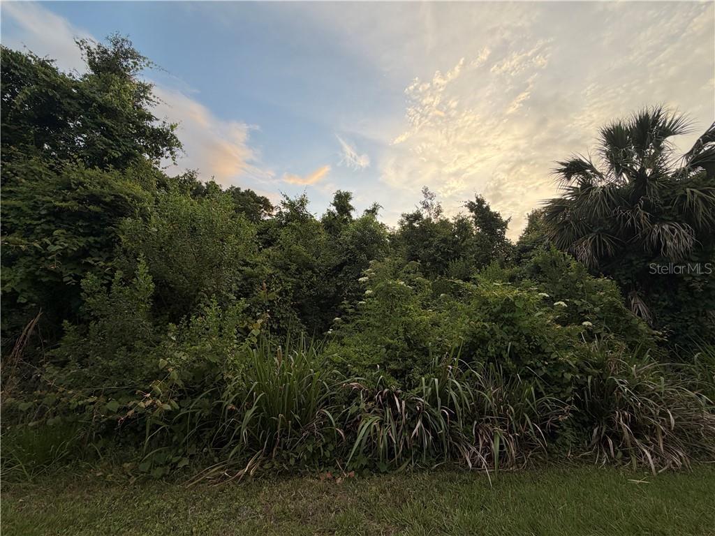 1089 N Fan Palm POINT, CRYSTAL RIVER, FL — photo 2 of 9