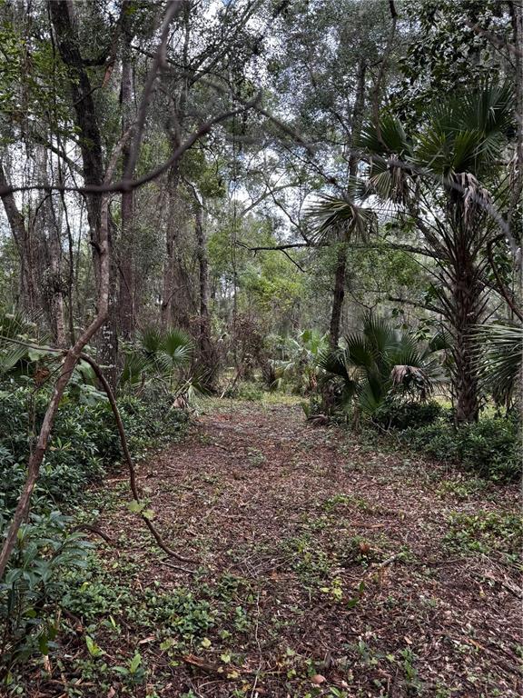 1423 LEMON STREET, DELAND, FL — photo 2 of 5