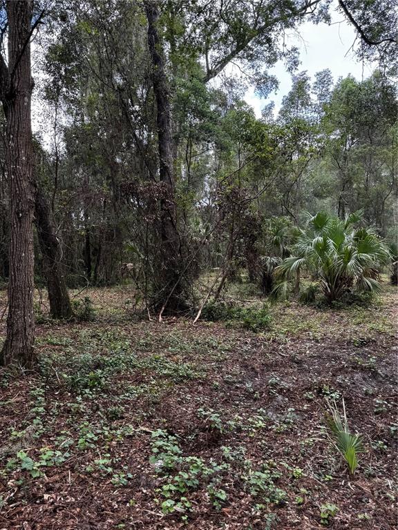 1423 LEMON STREET, DELAND, FL — photo 3 of 5
