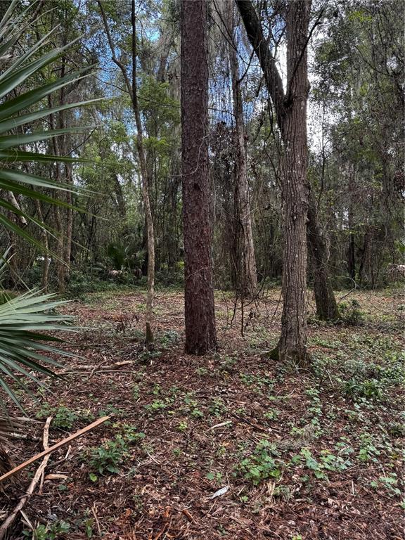 1423 LEMON STREET, DELAND, FL — photo 4 of 5