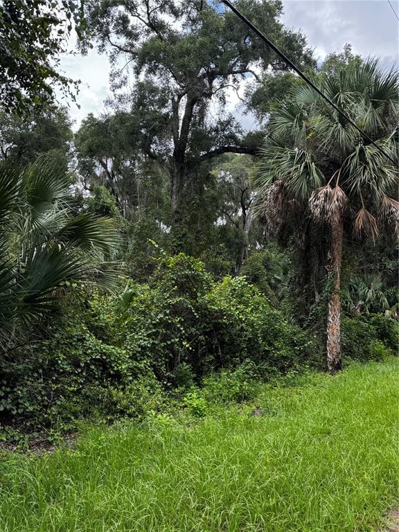 1423 LEMON STREET, DELAND, FL — photo 5 of 5