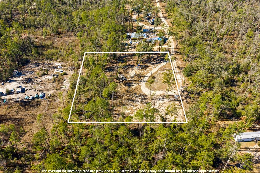 An aerial view shows a rectangular plot of land outlined in white within a forest — 12TH TERRACE, LIVE OAK, FL