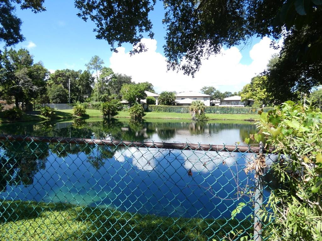A chain-link fence overlooks a small pond with trees and houses in the background — 104 BOUGH AVENUE UNIT 104, CLEARWATER, FL