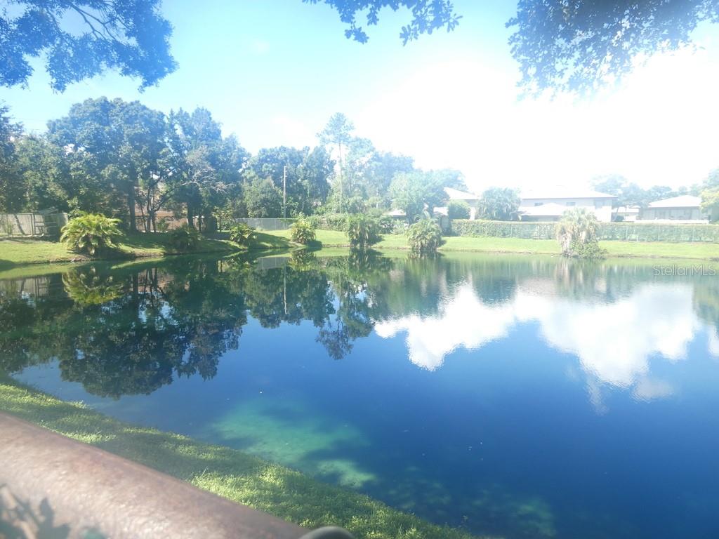 A view of a calm pond surrounded by trees and residential homes — 104 BOUGH AVENUE UNIT 104, CLEARWATER, FL