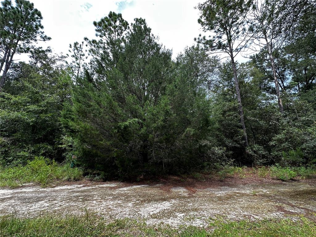 0000 NE 155TH COURT, WILLISTON, FL — photo 2 of 10