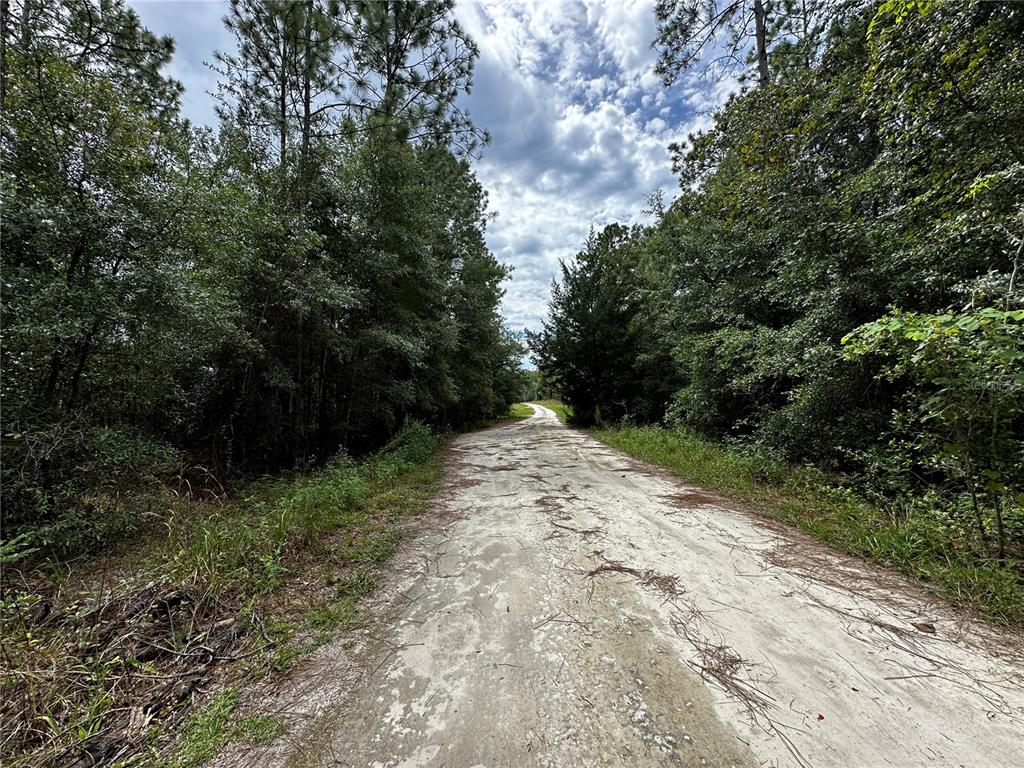 0000 NE 155TH COURT, WILLISTON, FL — photo 3 of 10