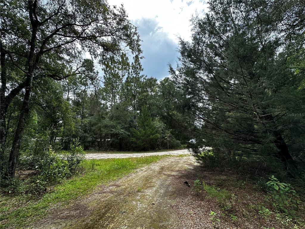 0000 NE 155TH COURT, WILLISTON, FL — photo 4 of 10