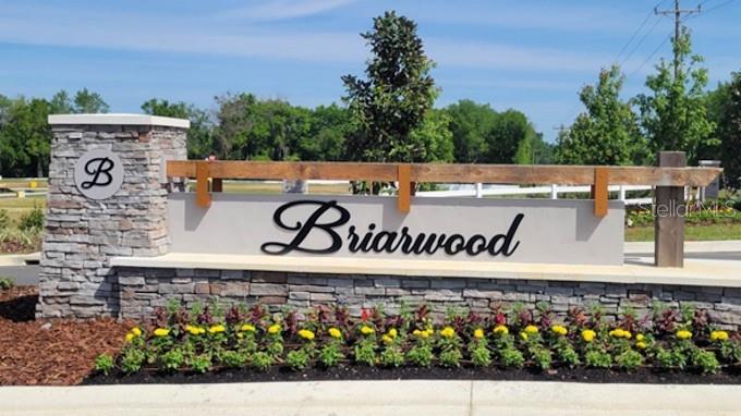 A stone and wood monument sign for the Briarwood community stands behind a flower bed — 16865 NW 176TH WAY, ALACHUA, FL