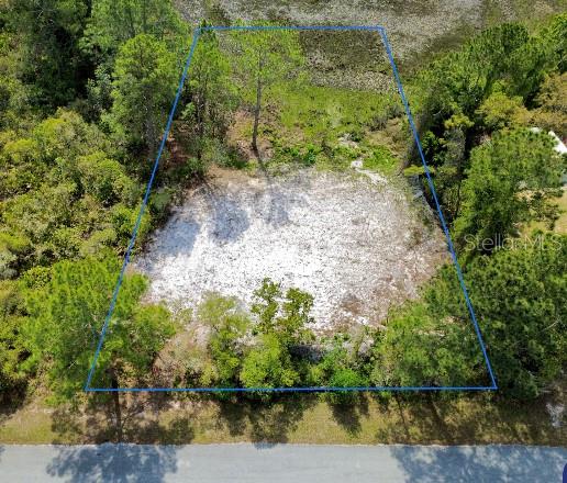 An aerial view shows a vacant, trapezoidal-shaped lot cleared of vegetation near a paved road — VIOLA AVENUE, EUSTIS, FL