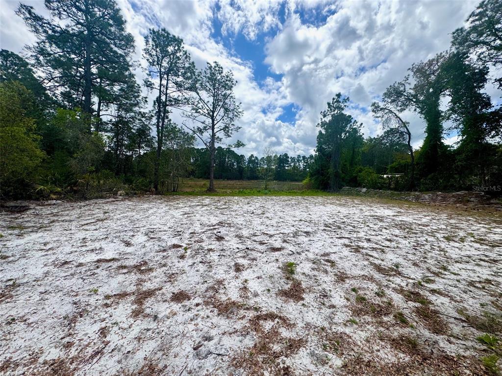 A cleared, sandy lot is bordered by a dense line of trees under a cloudy sky — VIOLA AVENUE, EUSTIS, FL