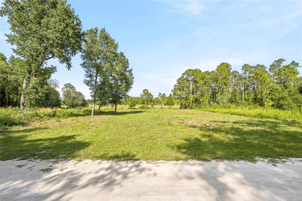 A grassy, undeveloped lot features scattered trees and a dirt road along the right side — 100 BERRYHILL DRIVE, WEBSTER, FL