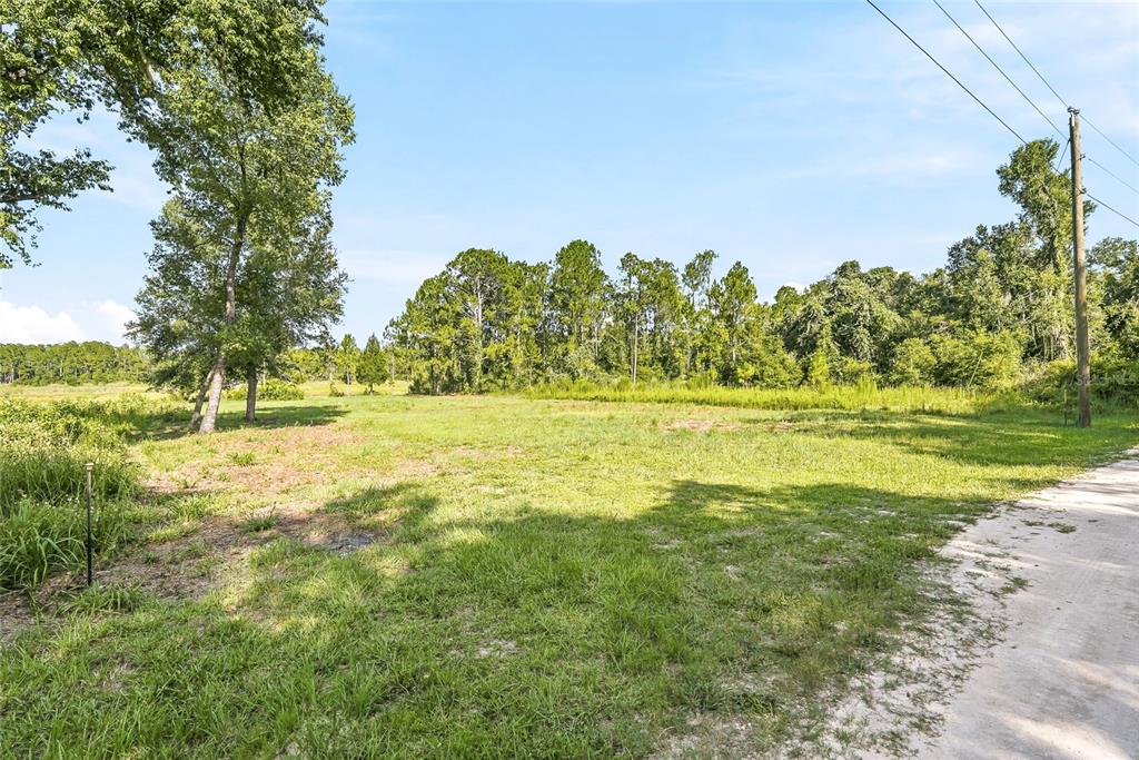 A grassy, open lot features a dirt path in the foreground and surrounding trees — 100 BERRYHILL DRIVE, WEBSTER, FL