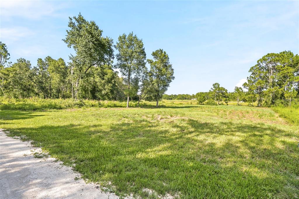 A grassy, open field leads toward a line of trees and a marshy area — 100 BERRYHILL DRIVE, WEBSTER, FL