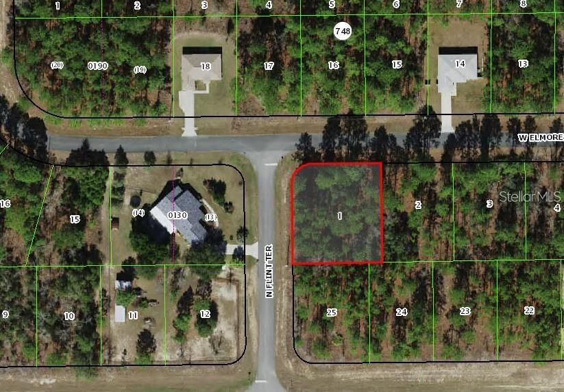 2372 W ELMORE LOOP
