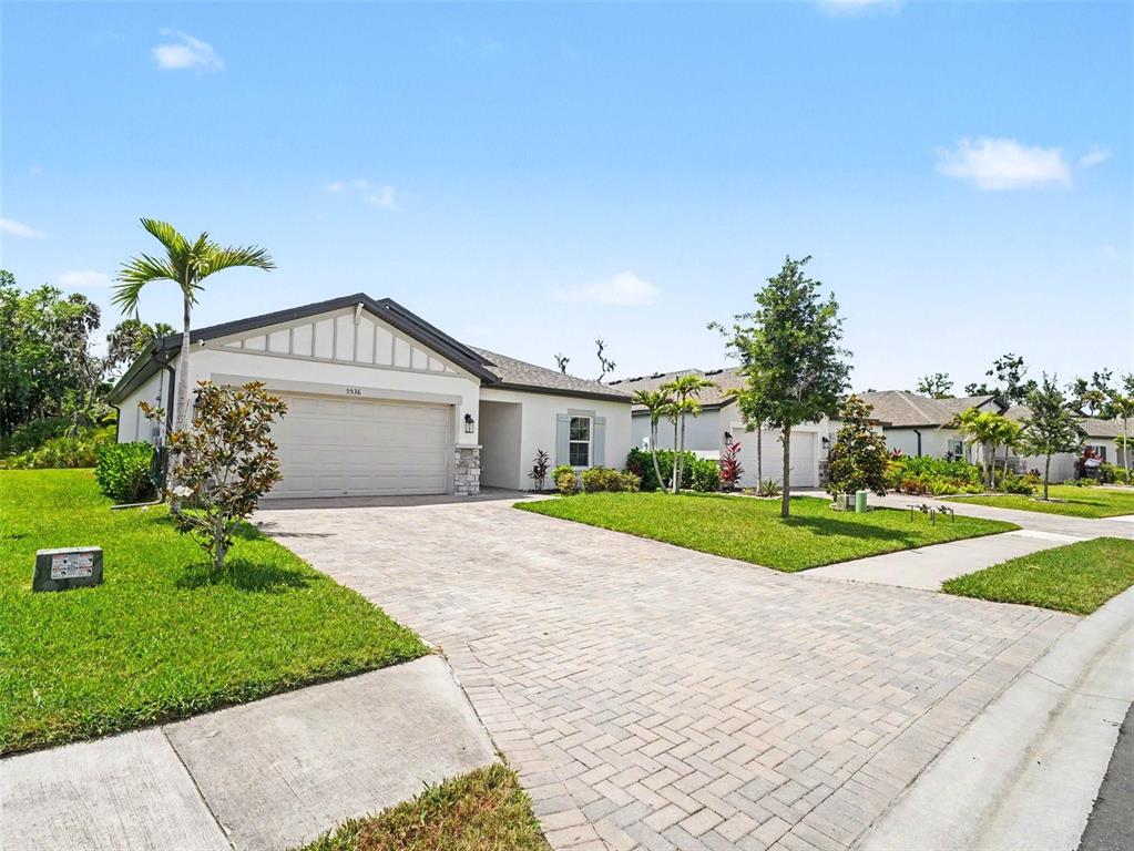5536 PATANO LOOP
