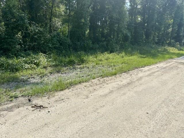 A dirt road runs alongside a grassy area bordered by a dense line of trees — NE 597TH STREET, OLD TOWN, FL
