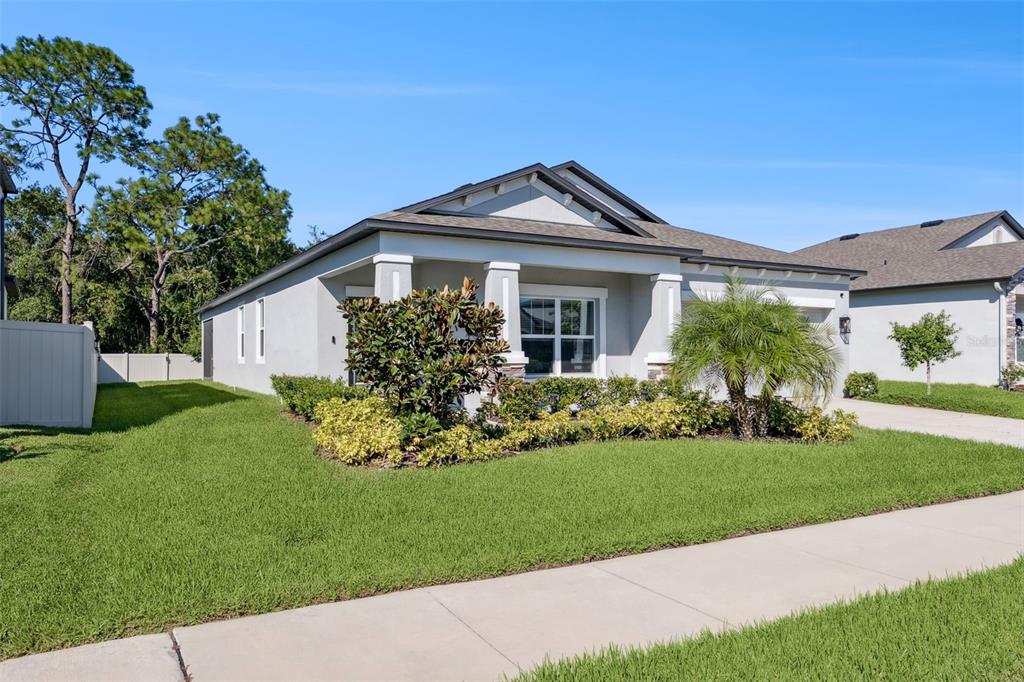 18229 PORFIRIO PLACE, SPRING HILL, FL — photo 2 of 42