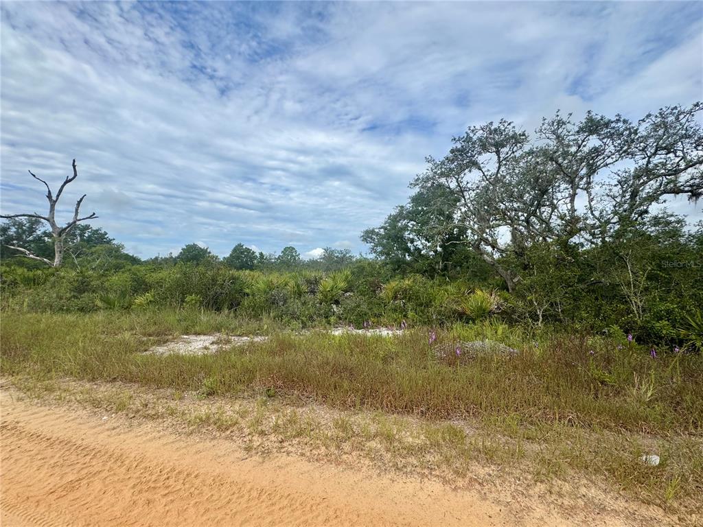 3022 W PETALUMA ROAD, AVON PARK, FL — photo 2 of 3