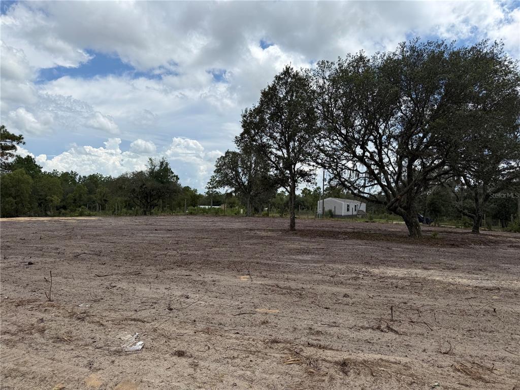 A cleared, sandy lot features several large oak trees under a cloudy sky — TBD NE 88TH LANE, BRONSON, FL