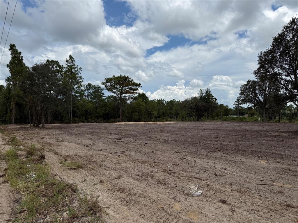 A cleared, flat, sandy plot of land surrounded by trees under a cloudy sky — TBD NE 88TH LANE, BRONSON, FL