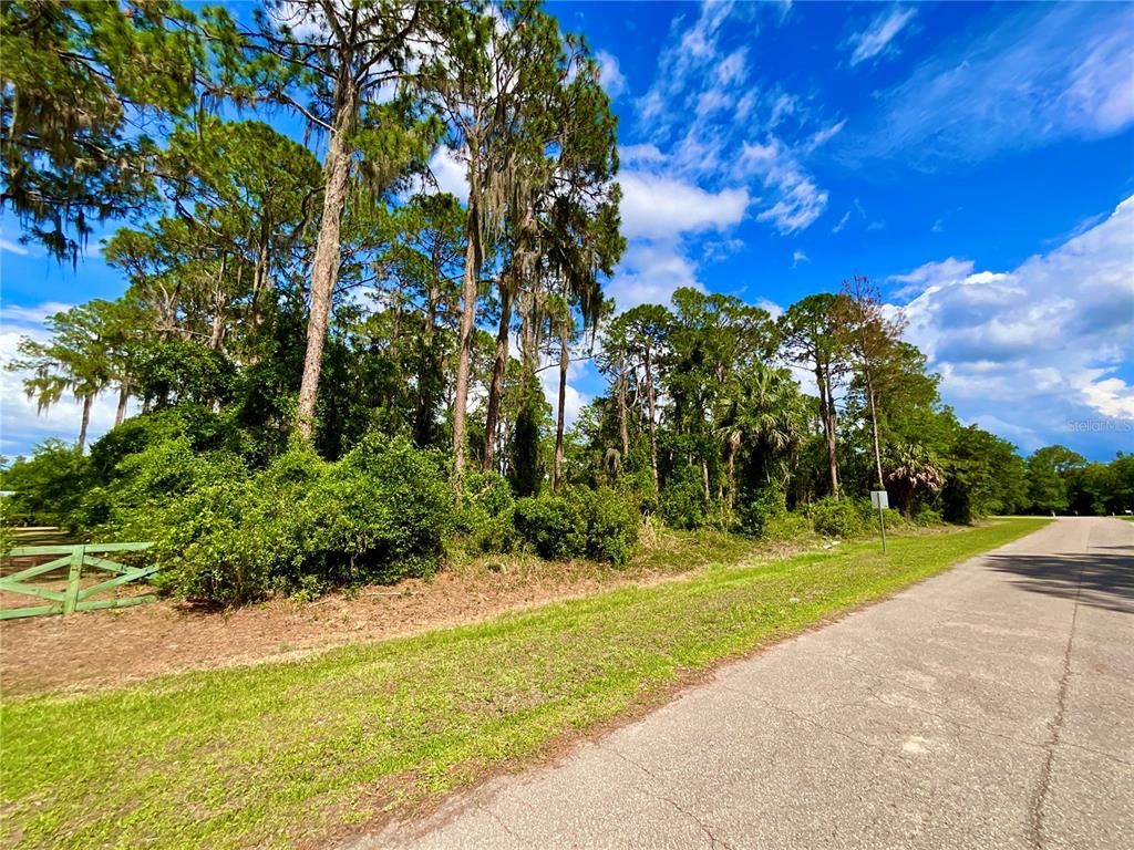 A paved road runs alongside a grassy area with dense trees and a green fence — 14211 SE 201ST TERRACE, HAWTHORNE, FL