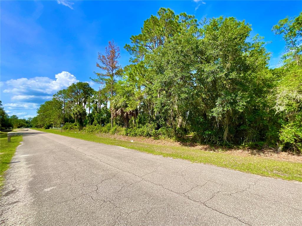 A paved road runs alongside a wooded lot with tall trees under a blue sky — 14211 SE 201ST TERRACE, HAWTHORNE, FL
