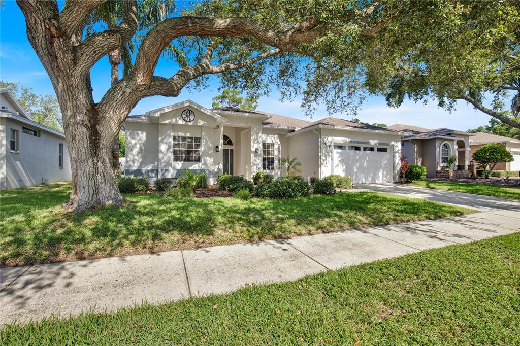 A single-story suburban house with a white stucco exterior, a two-car garage, and large oak trees — 2409 DANA DRIVE, SAFETY HARBOR, FL