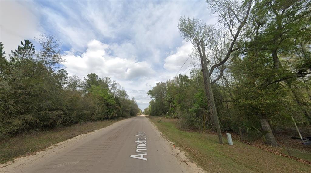 A dirt road stretches through a wooded area under a partly cloudy sky — 915 ANNETTE AVENUE, INTERLACHEN, FL
