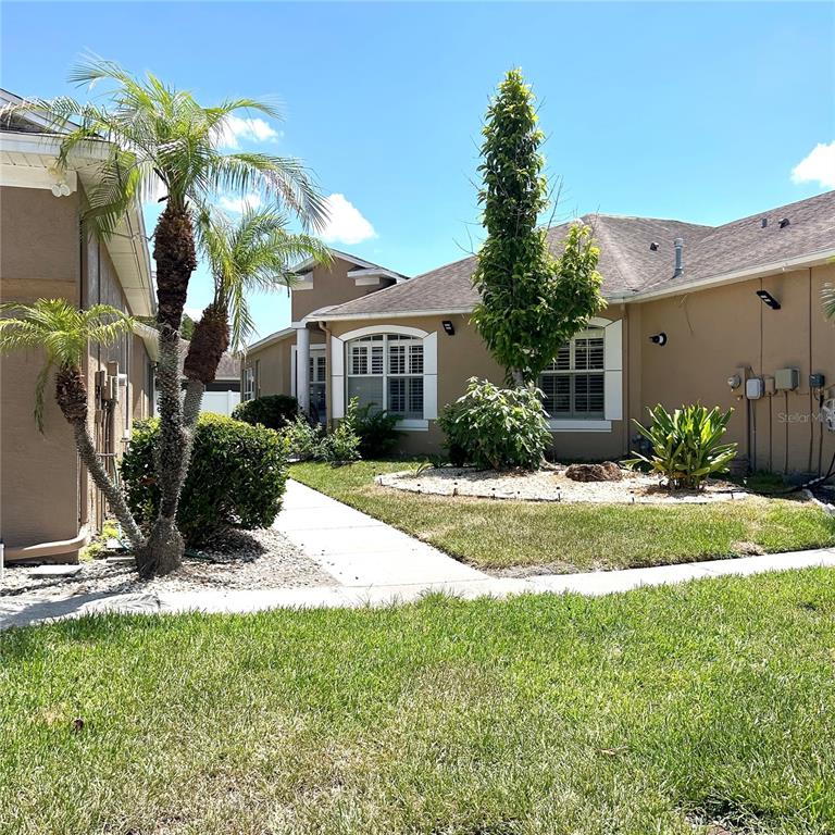 A view of the exterior of a tan house with a palm tree and landscaping — 30236 LETTINGWELL CIRCLE, WESLEY CHAPEL, FL