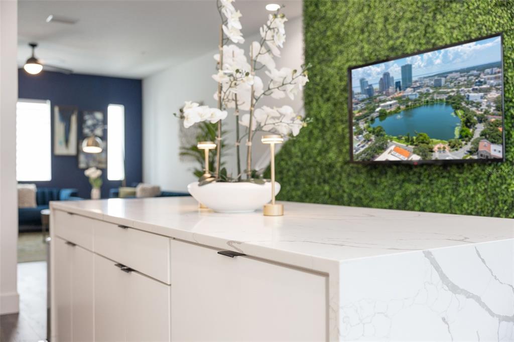 A white marble kitchen island sits in front of a television mounted on a green wall — 865 S 6 AVENUE S UNIT 17, ST PETERSBURG, FL