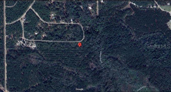 This is a satellite map view showing a wooded area with residential streets — 121 CORBINA WAY W, FLORAHOME, FL