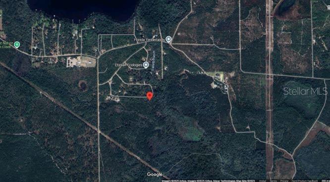 This is a satellite map view showing a red location pin in a wooded area — 121 CORBINA WAY W, FLORAHOME, FL
