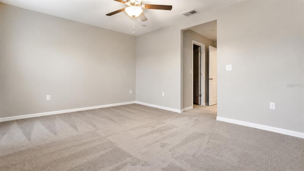 An empty bedroom features neutral walls, beige carpeting, and a ceiling fan — 3836 CAT MINT STREET, TAMPA, FL