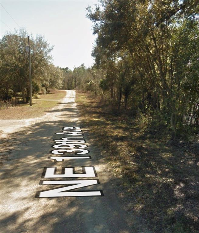 NE 139TH STREET, WILLISTON, FL — photo 3 of 6