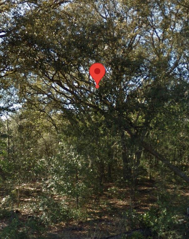 NE 139TH STREET, WILLISTON, FL — photo 4 of 6
